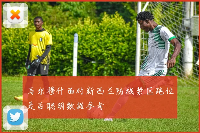 马尔穆什面对新西兰防线禁区跑位是否聪明数据参考