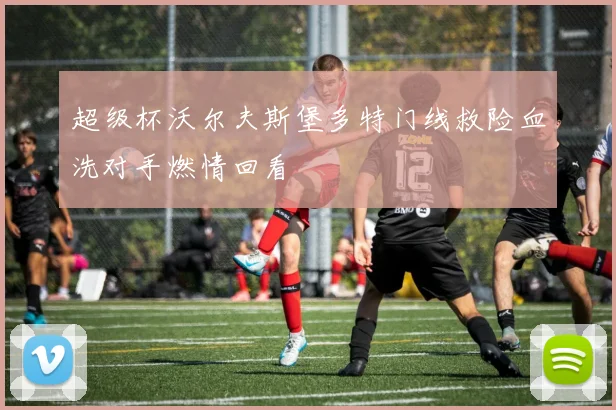 超级杯沃尔夫斯堡多特门线救险血洗对手燃情回看
