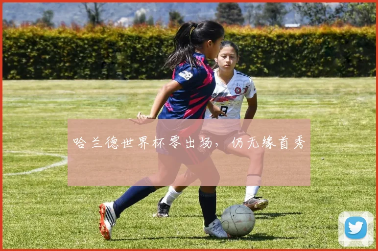 哈兰德世界杯零出场，仍无缘首秀