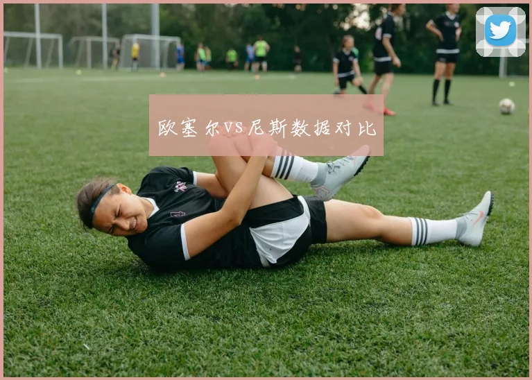 欧塞尔vs尼斯数据对比