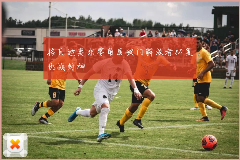 格瓦迪奥尔零角度破门解放者杯复仇战封神