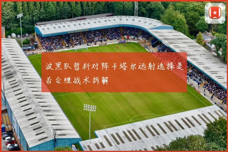 波黑队哲科对阵卡塔尔远射选择是否合理战术拆解