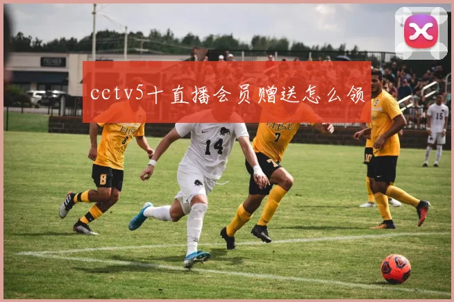 cctv5十直播会员赠送怎么领
