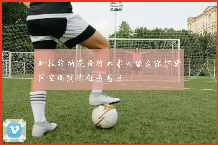 科拉希纳茨面对加拿大能否保护禁区空间防守任务看点