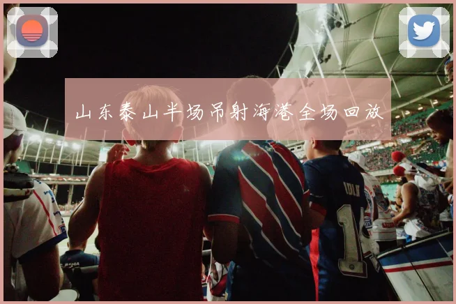 山东泰山半场吊射海港全场回放