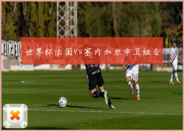 世界杯法国vs塞内加尔中卫组合
