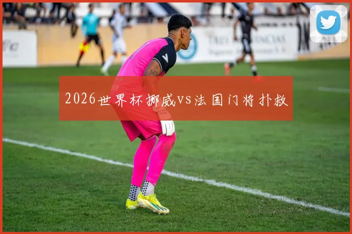 2026世界杯挪威vs法国门将扑救