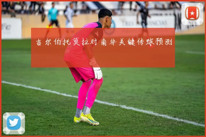 吉尔伯托莫拉对南非关键传球预测