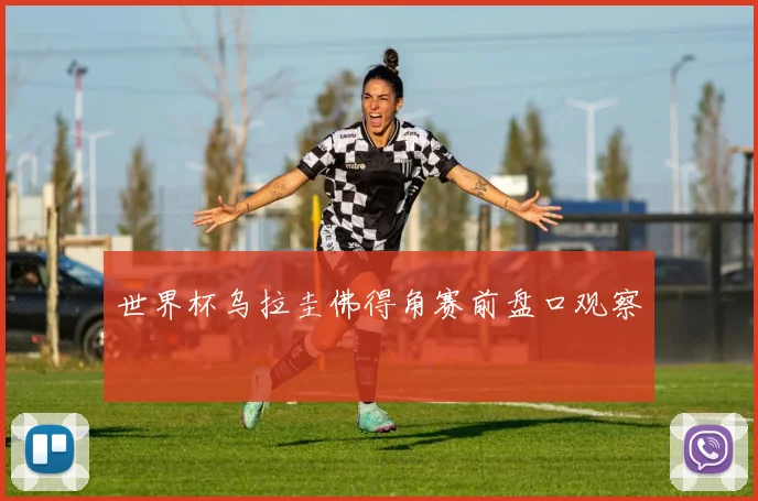 世界杯乌拉圭佛得角赛前盘口观察
