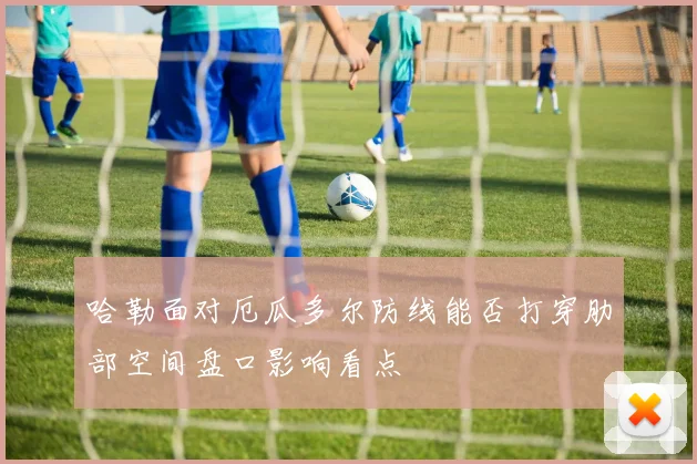哈勒面对厄瓜多尔防线能否打穿肋部空间盘口影响看点