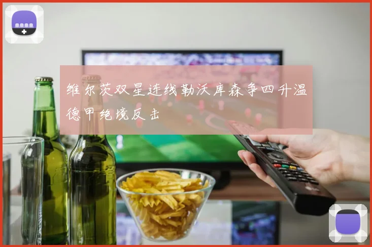 维尔茨双星连线勒沃库森争四升温德甲绝境反击