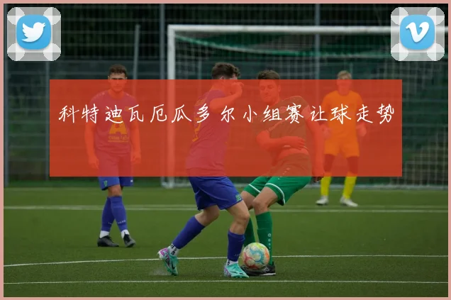 科特迪瓦厄瓜多尔小组赛让球走势
