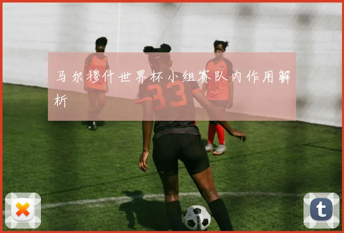 马尔穆什世界杯小组赛队内作用解析